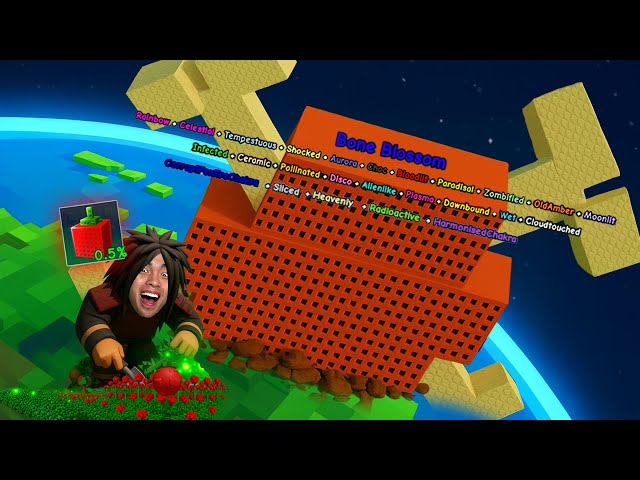 สุ่มผล 0.5% ไว้ประดับสวน...เป้าหมายโบนบลอสซั่ม 1,000T ! | Grow a Garden Roblox