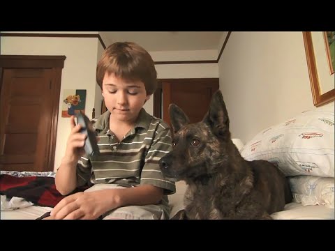 First Dog'