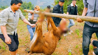 Traditional Nung Wedding Cuisine - Unique Pork and Beef Dishes with Amazing Flavors in Vietnam!