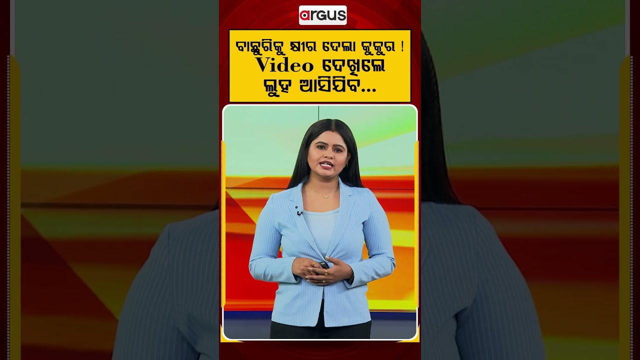 ବାଛୁରିକୁ କ୍ଷୀର ଦେଲା କୁକୁର !| Dog Feeds Motherless Calf Like Her Own Child | Viral Video | Argus News