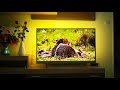 Philips 49PUS6482 Smart Tv 4K - Ambilight 3 si Android Tv la Superlativ!