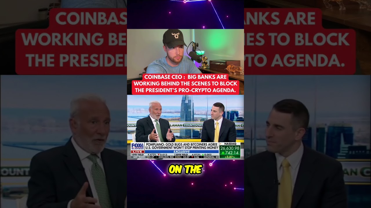 RIPPLE XRP: POMPLIANO JUST ABSOLUTELY DESTROYED PETER SCHIFF ON NATIONAL TV!