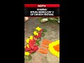 Chhath Puja 2025 | ‘Kharna’ Ritual Marks Day 2 of Chhath Festival
