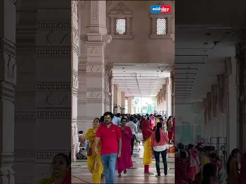 Inside Ram Mandir Where Every Pillar Tells a Story y 12 thousand views  play Short