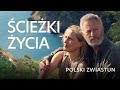 kadr z filmu Ścieżki Życia nr: 2582