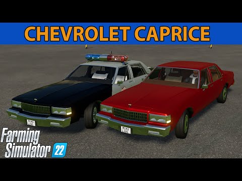 1989 Chevrolet Caprice V3.0