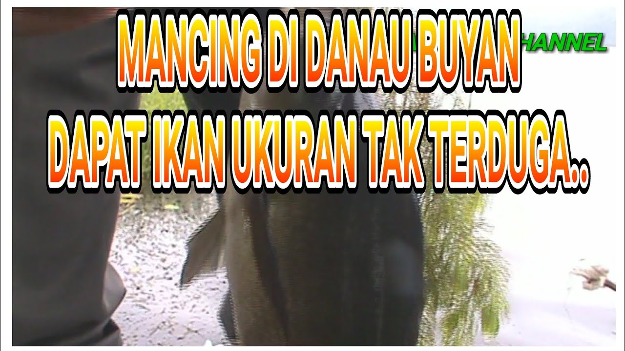 MANCING DI DANAU BUYAN BARU ..LEMPAR UMPAN ...DISAMBAR IKAN NILA SIZE TAK TERDUGA MANTAP..