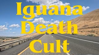 Iguana Death Cult - I Like It, It's Nice (Official Video)