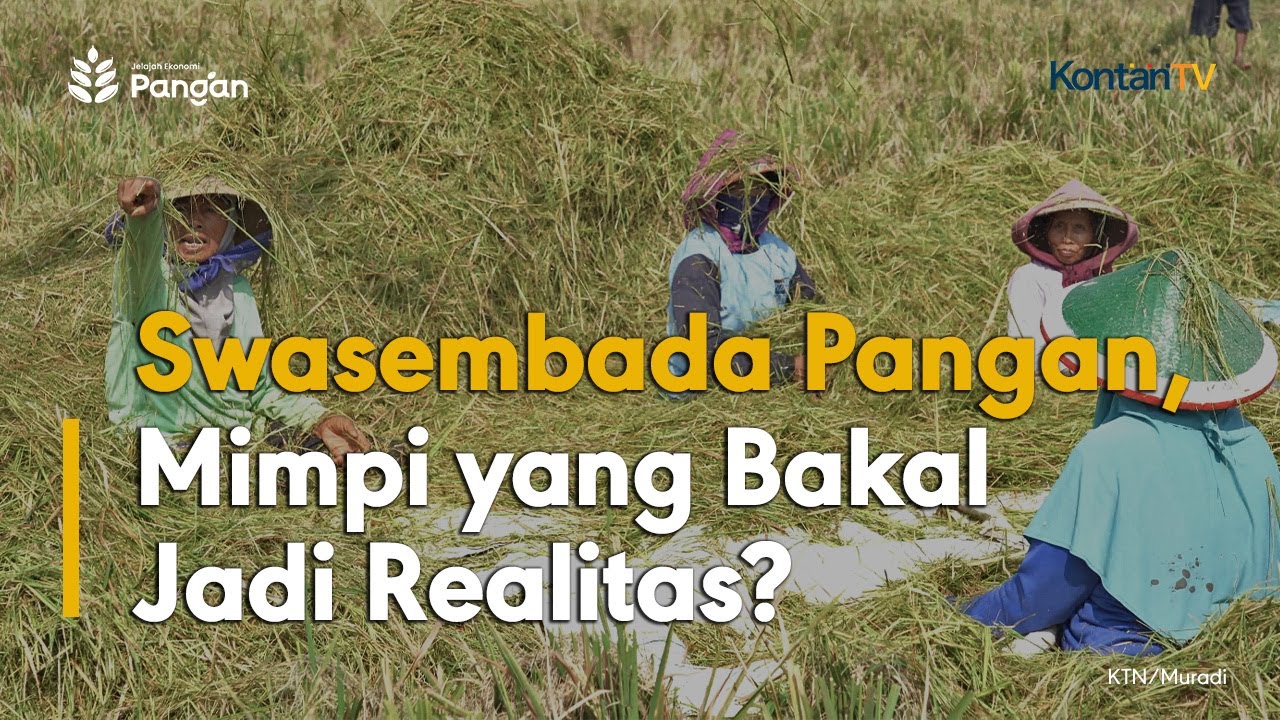 Swasembada Pangan, Mimpi yang Bakal Jadi Realitas? | KONTAN Jelajah Ekonomi Pangan