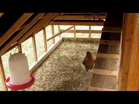 Chicken coop tractor updates