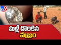 Kurnool: Woman farmer finds rare diamond in farm
