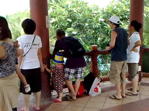 Trò chơi vượt thác ở khu du lịch Đại Nam