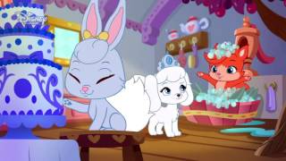 Pelkov - Rzinine narodeniny