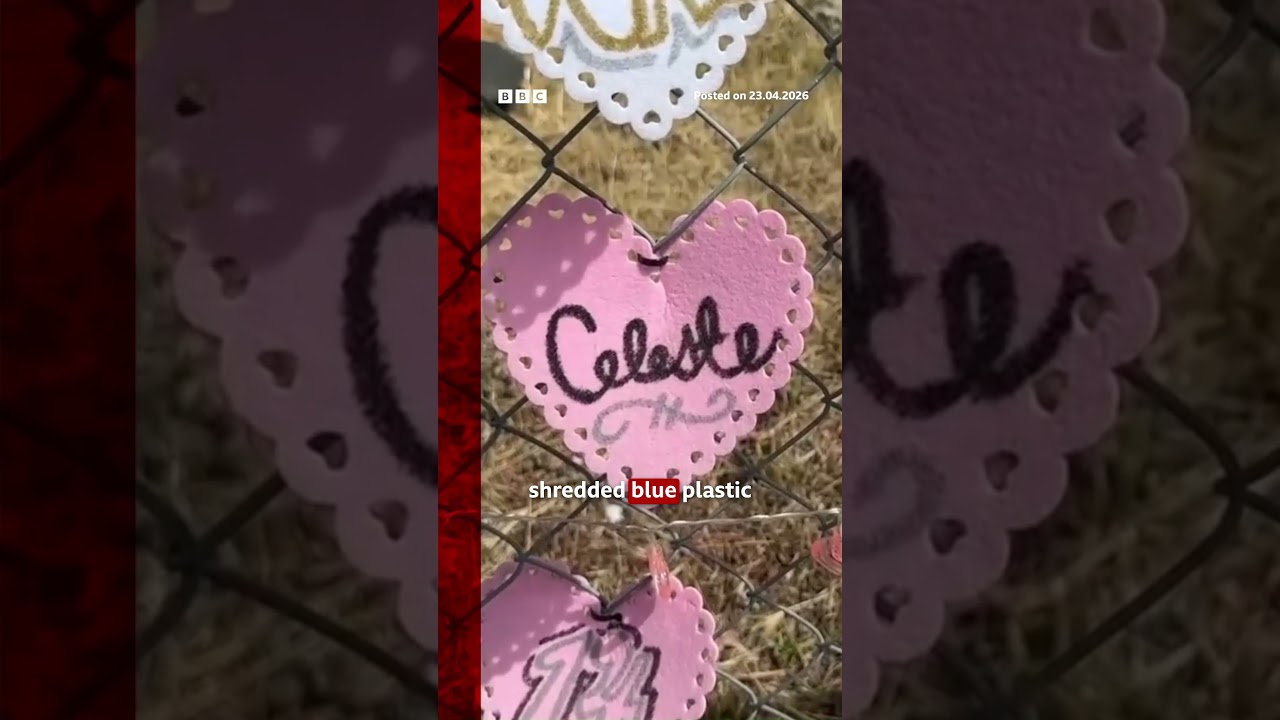 Teen found in singer D4vd's car died of 'multiple injuries'. D4vd CelesteRivasHernandez BBCNews