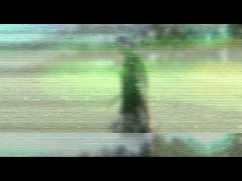Boards of Canada - Oirectine