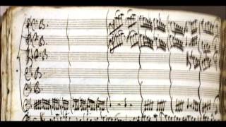 Concerto for 2 Violins in A Minor, RV 522: I. Allegro