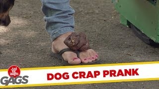 Puppy Poop Prank - Just For Laugh