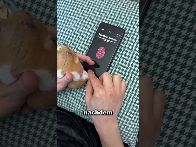 KLICK NICHT AUF DEN SOUND 😱