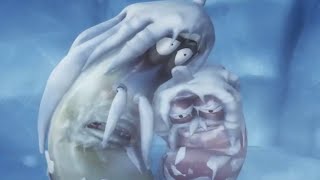 Larva - blizzard