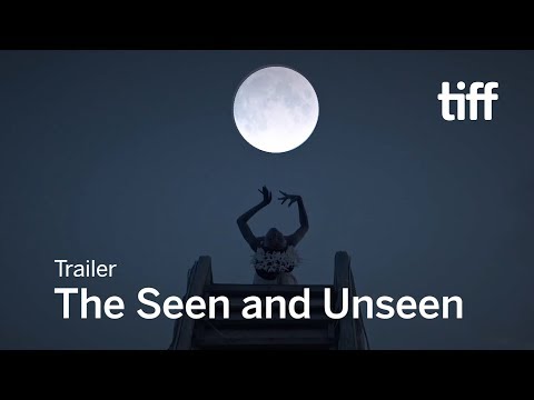The Seen and Unseen'