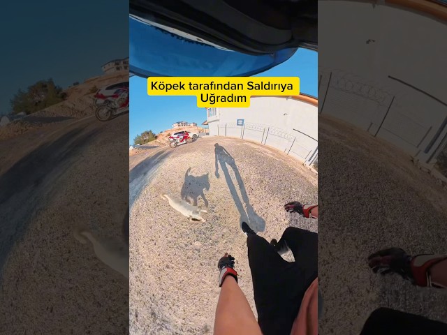 Zor kurtuldum 😰 #cbr1000rr #cbr1000rrsp #motovlog #insta360x4 #köpek