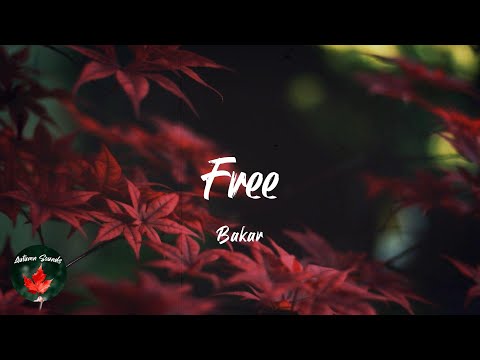 Bakar - Free (Lyric video)