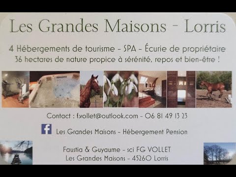 Property video