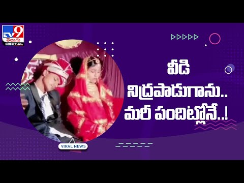 Viral Video: Groom falls asleep on wedding stage as people try to wake him up Viral Video: Groom falls asleep on wedding stage as people try to wake him up
