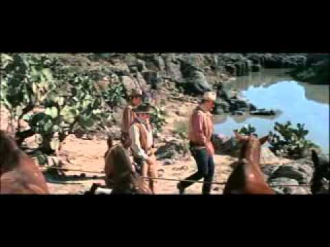 The Train Robbers'