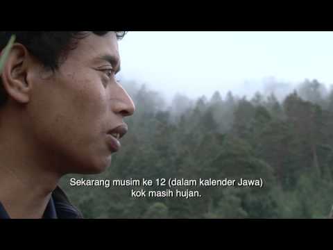 Negeri di Bawah Kabut'