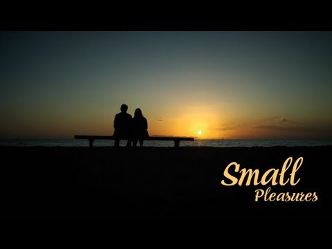 Small Pleasures (Μικρές Χαρές) 2008