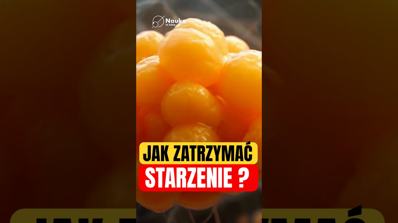 Milioner, który chce cofnąć czas