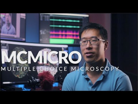 Image Analysis with MCMICRO - Overview