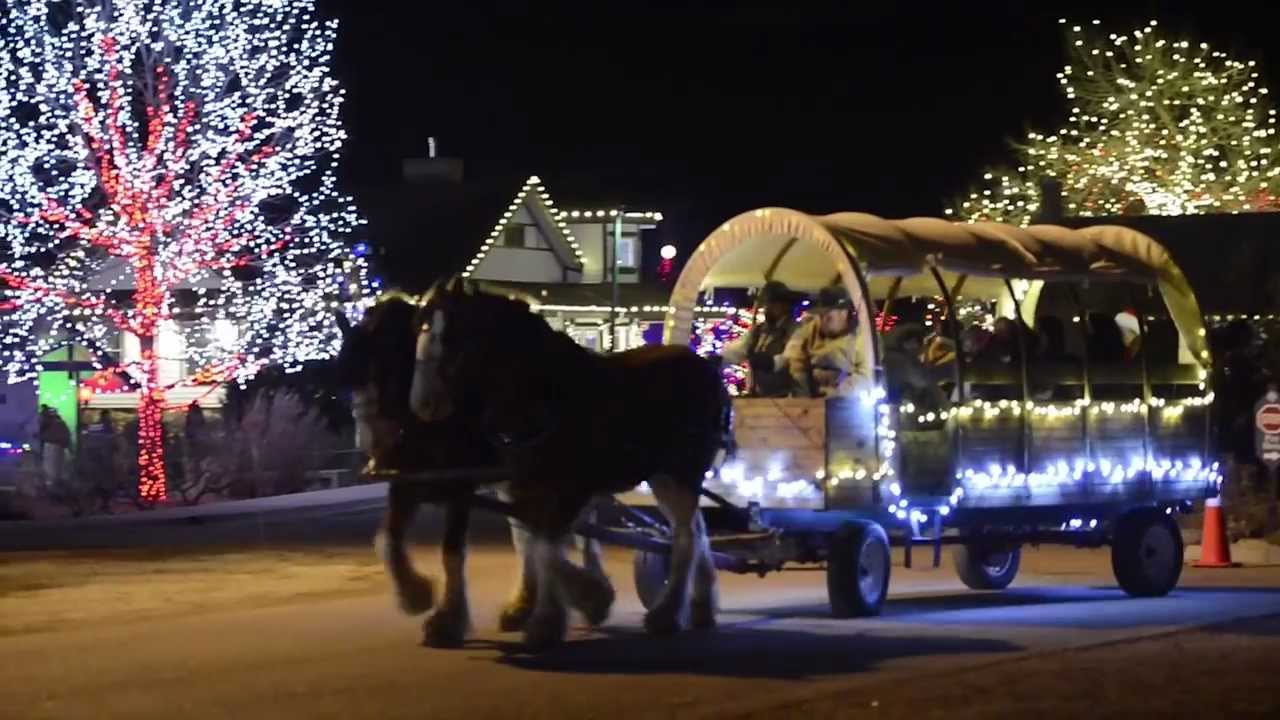 Trail of Lights at Denver Botanic Gardens at Chatfield - YouTube