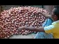 Steep rise in onion prices attributed to crop loss