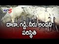 Special Report : Ongole Bulls Losing Their Majesty