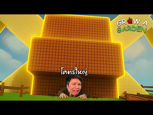 ผมได้ผลโบนบลอสซั่มคืนแล้วครับ l Grow a Garden Roblox