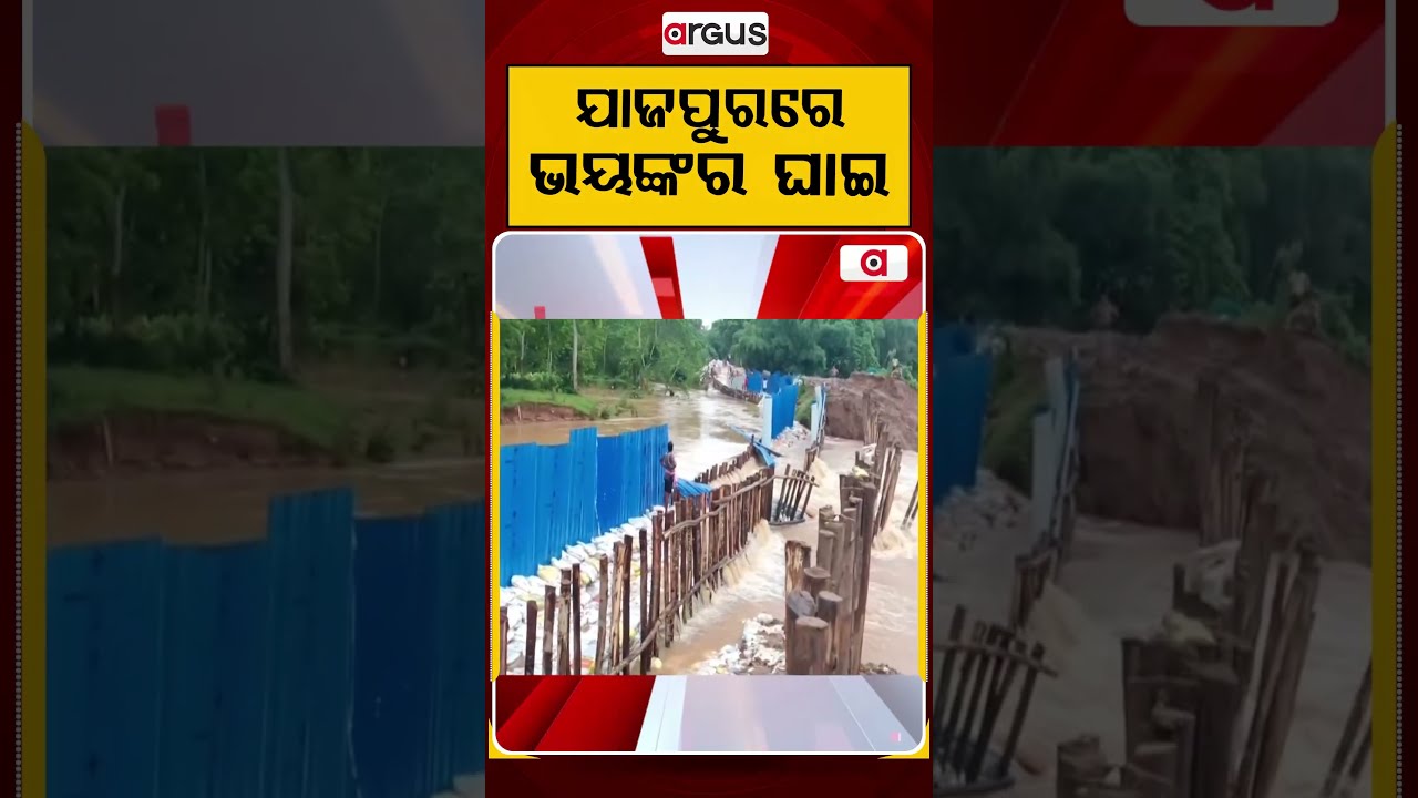 ଯାଜପୁରରେ ଭୟଙ୍କର ଘାଇ | Jajpur Flood Update: Massive Breach In River Embankment | Argus News