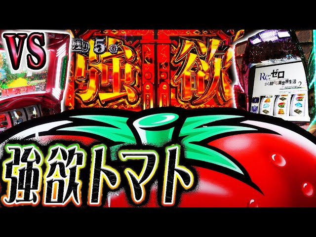 激波スマスロと爆連トマトで大勝を目指す【リゼロ２、リノＳＰ】