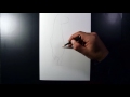 3D Pencil Art Raven Drawing