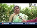 జూన్4 పవన్ గెలుపు కోసం వెయిటింగ్ మహిళ మాటలలో పూనకాలు | Janasena Veera Mahila Comments | Prime9 News  - 00:49 min - News - Video