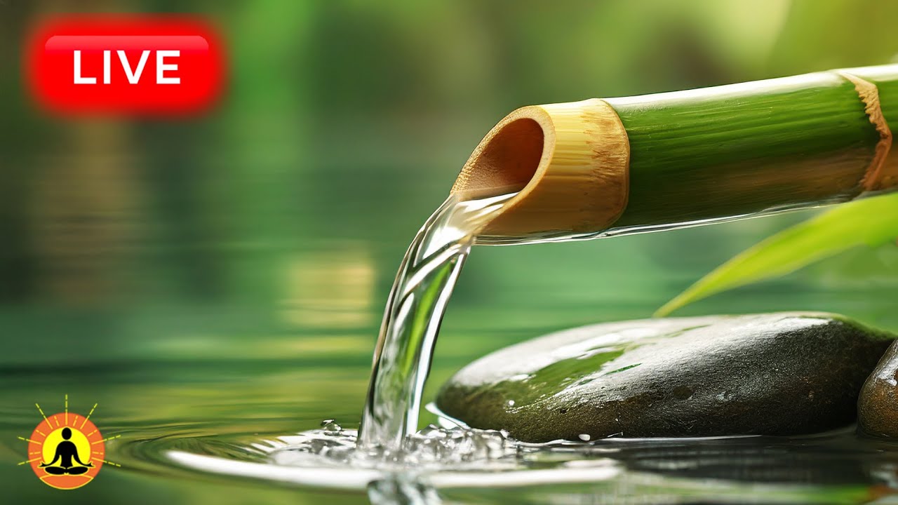 🔴 Relaxing Spa Bamboo Flute Meditation 24/7: Spa Massage Music for Stress Relief | Sounds of Water