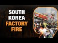 South Korean Battery Plant Tragedy | 23 Workers Killed | CEO Apologizes | Beijing Urges Answers