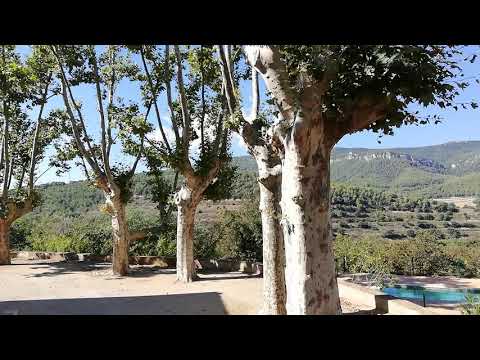 Video realizado por la propiedad
