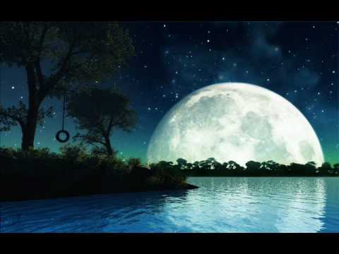 dean martin in the misty moonlight (lyrics)