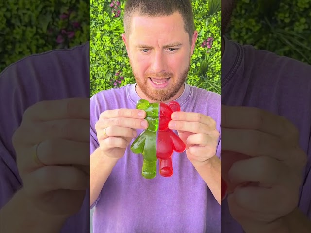 How To Share Giant Gummy Bears Properly 😎🍬❤️ #shorts #khamitovy #martaandrustam