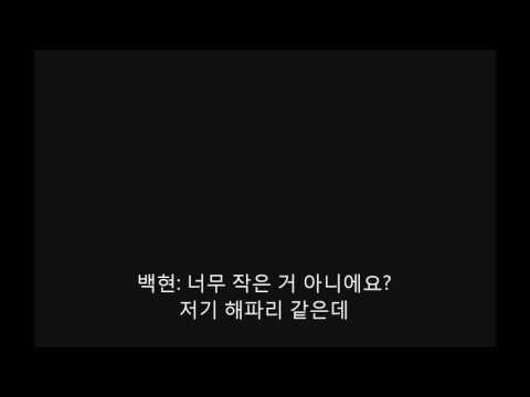170504 큥일파티 오프닝
