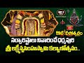సర్వారిష్టాలు నివారించే ధర్మపురి శ్రీ లక్ష్మీనృసింహస్వామి కల్యాణోత్సవం.. | Koti Deepotsavam 2025
