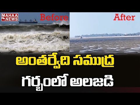 Viral Video: Sea disappears suddenly in Antarvedi, East Godavari Viral Video: Sea disappears suddenly in Antarvedi, East Godavari