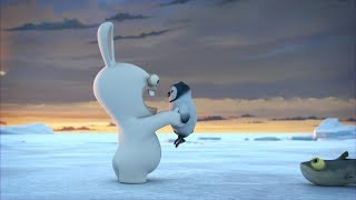 Rabbids Invasion - Otec